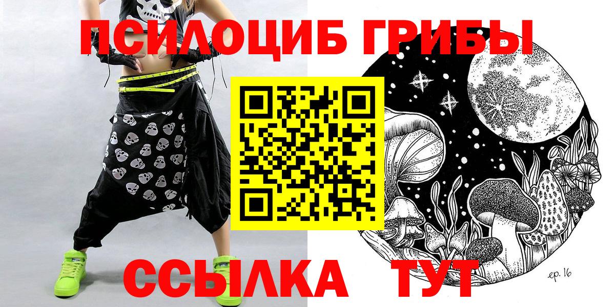 Псилоцибиновые грибы Psilocybe  продажа наркотиков  Тайшет  Псилоцибиновые грибы ЛСД  Вход с VPN 
